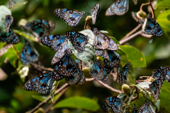 A4-8921, Australia travel stock photography, Keswick Island