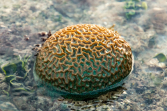 A4-9400, Australia travel stock photography, Keswick Island