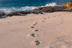 B2-6020, Bermuda travel stock photography