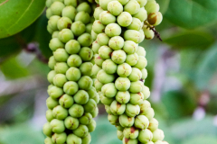 B2-6152, Bermuda travel stock photography