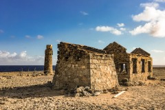 B3-3249, Bonaire nature stock photography