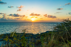 B3-6875, Bonaire nature stock photography