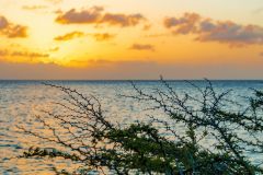 B3-6880, Bonaire nature stock photography