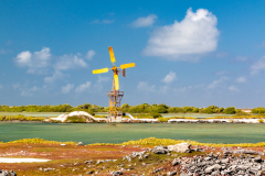 B3-7068, Bonaire nature stock photography