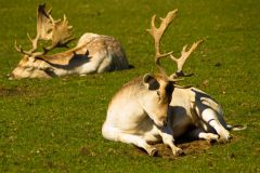 C2-4706, Canada travel stock photography