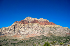 N1-6185